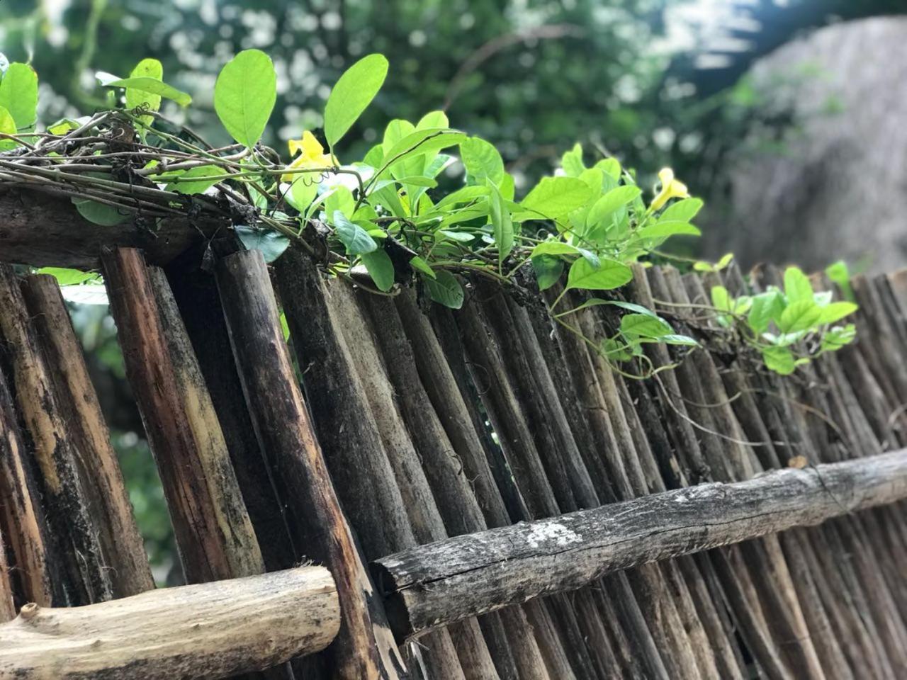 Cabanas La Alborada Villa Tulum Eksteriør bilde